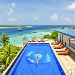 Best Luxury resort ito swim with mantas and whale sharks n Maldives
