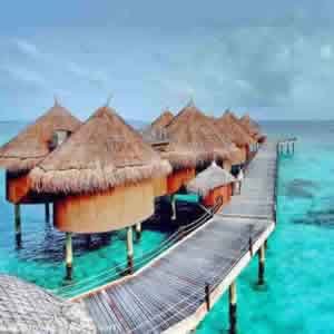 Ari Atoll best resorts for house reef snorkeling