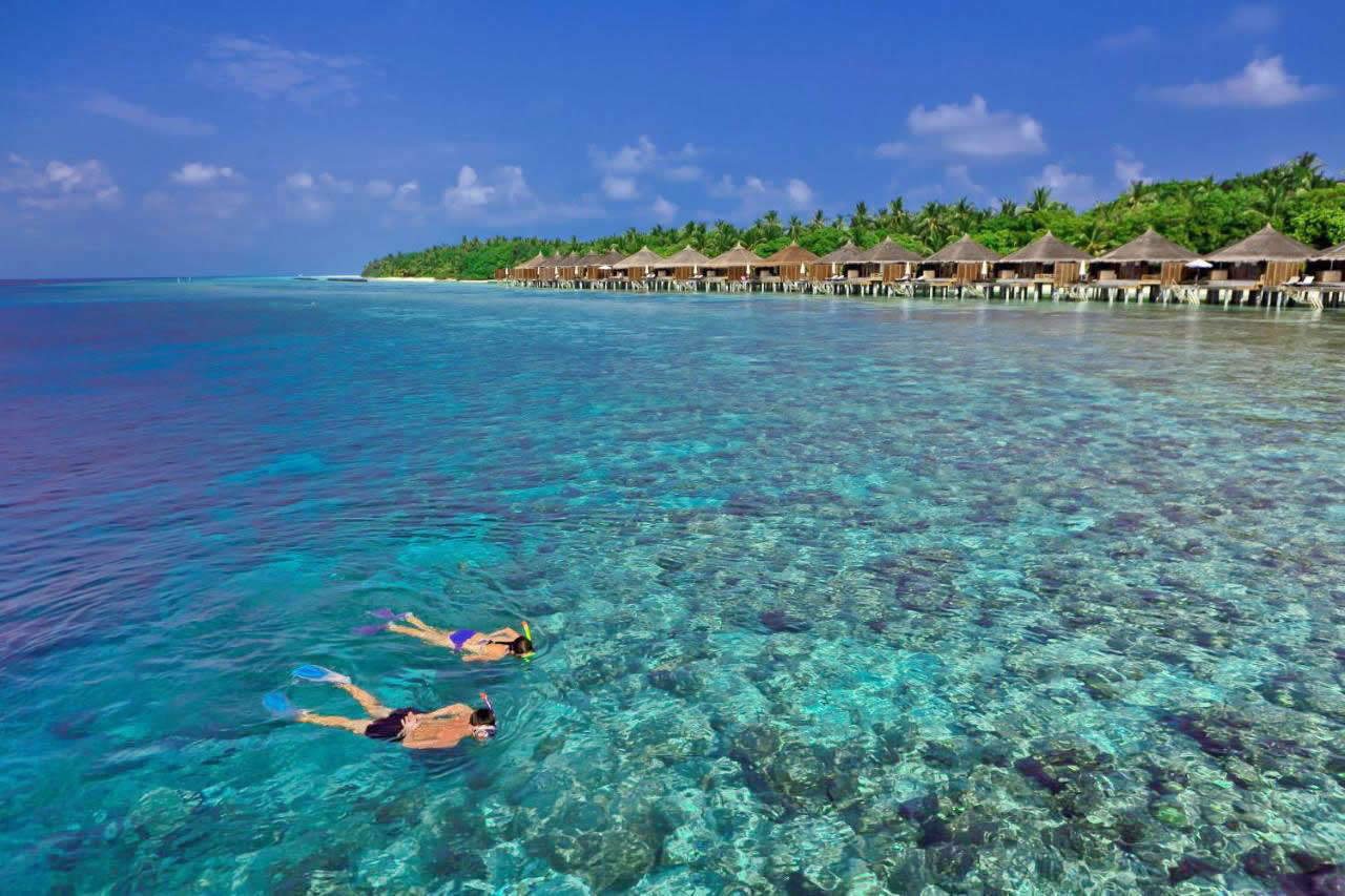 Kuramathi house reef
