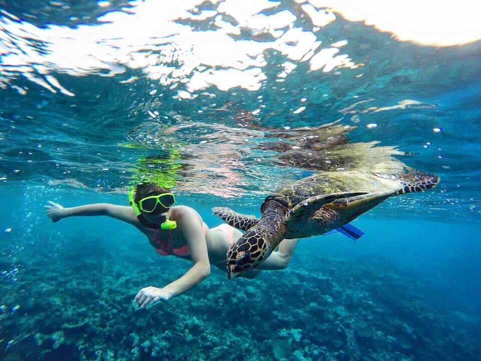 Thulusdhoo, surf camp