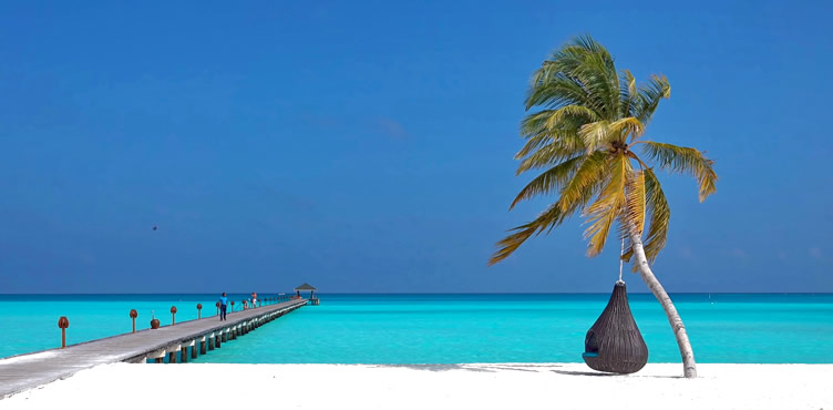 Top 10 Best Ari Atoll resorts